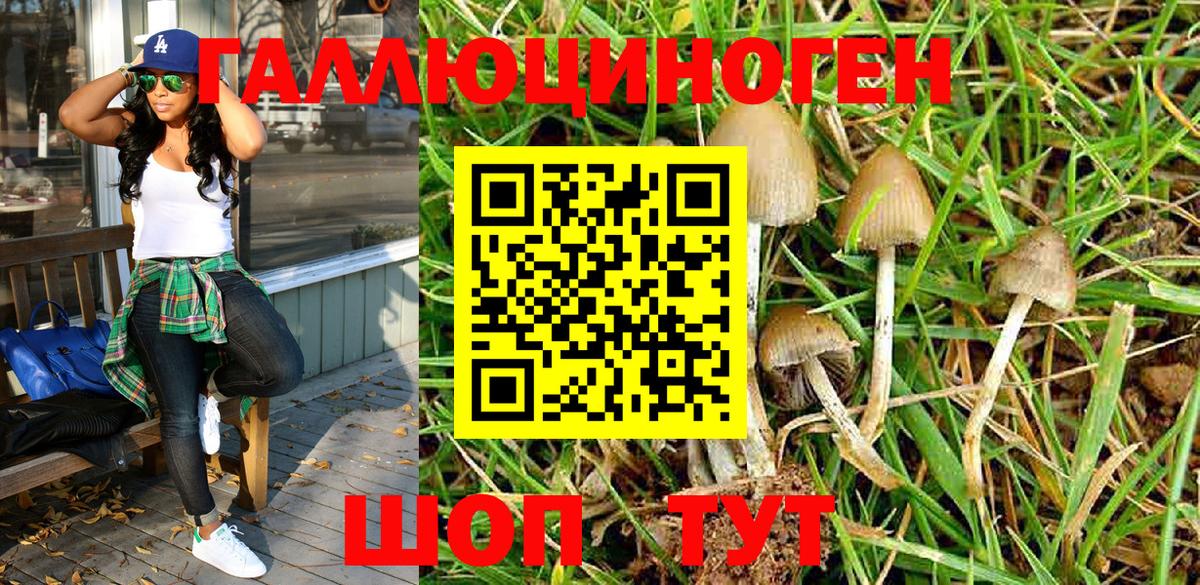 Туапсе  Псилоцибиновые грибы Psilocybe  Псилоцибиновые грибы Magic Shrooms  Вход с VPN 